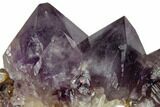 Tall, Amethyst Crystal Cluster - South Africa #115395-1